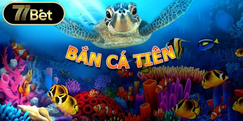 Nền tảng giải trí an toàn và minh bạch nhất